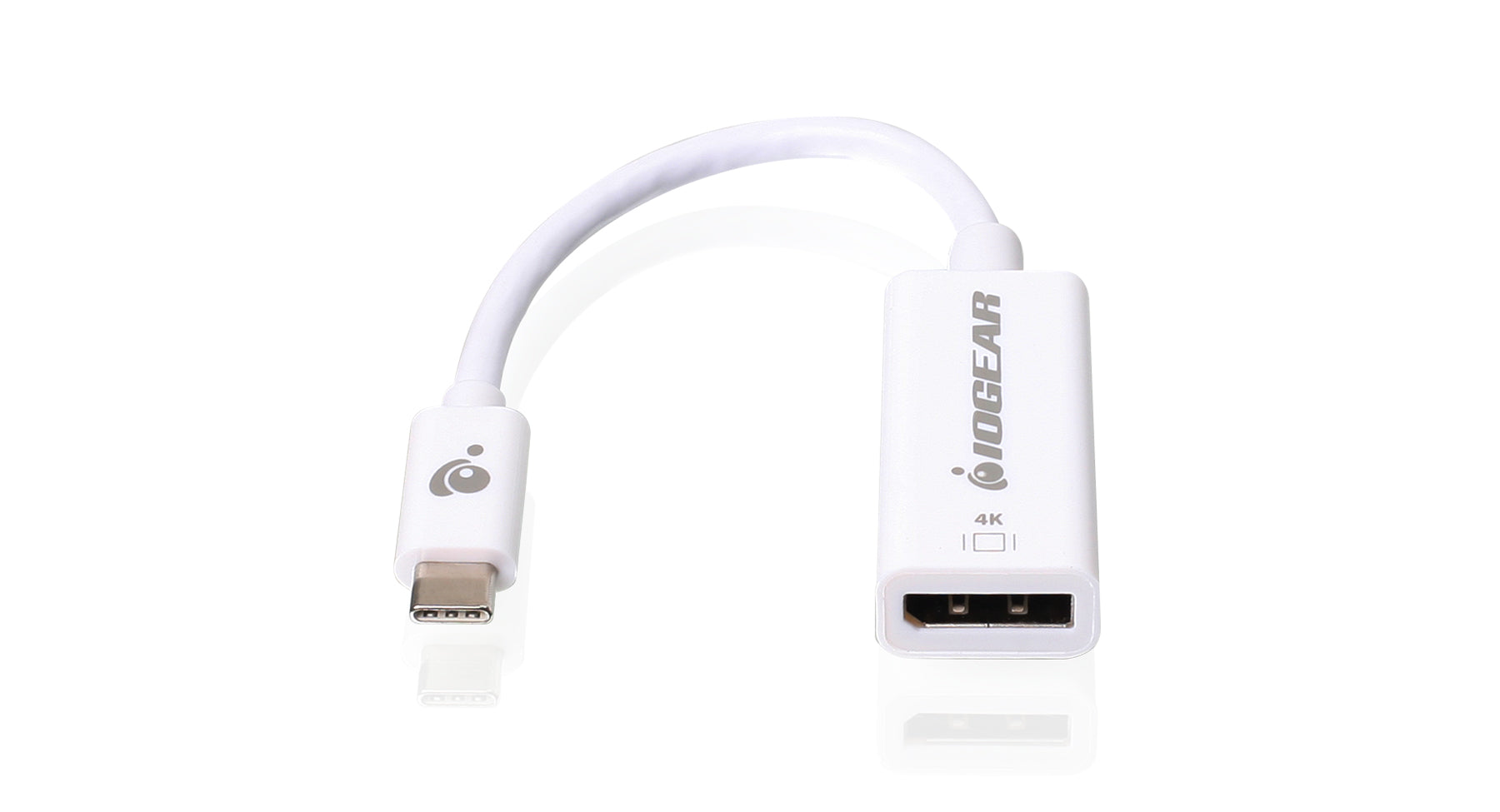 USB Type-C to DisplayPort Adapter