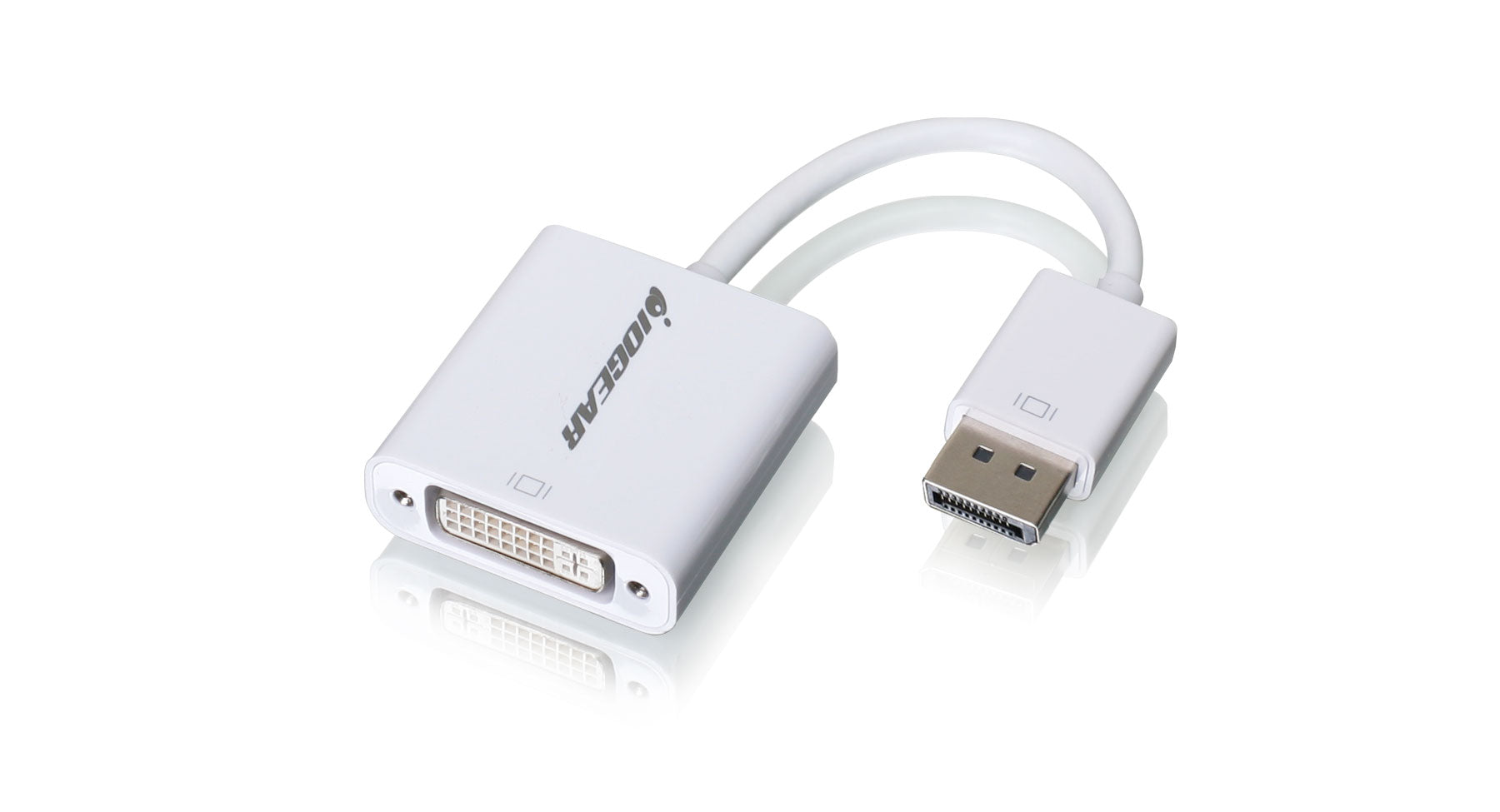 DisplayPort to DVI Adapter Cable