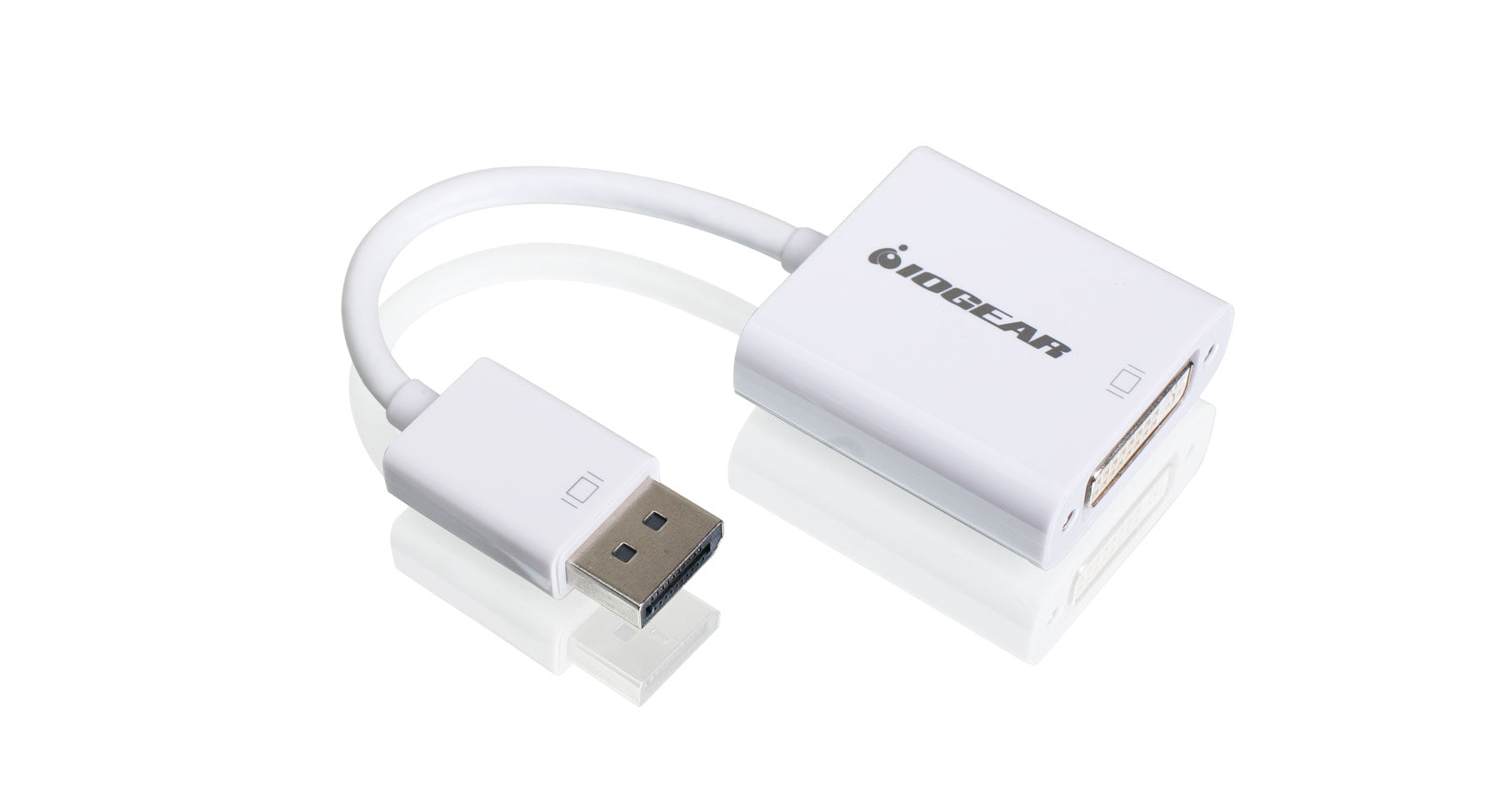 DisplayPort to DVI Adapter Cable