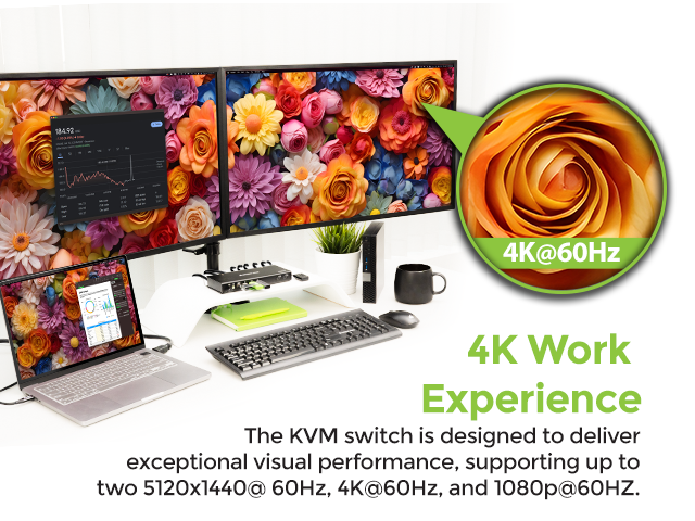 4K @ 60Hz Resolution