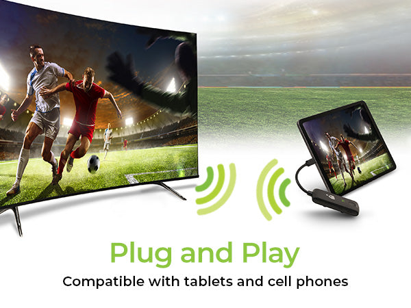 Plug and Play